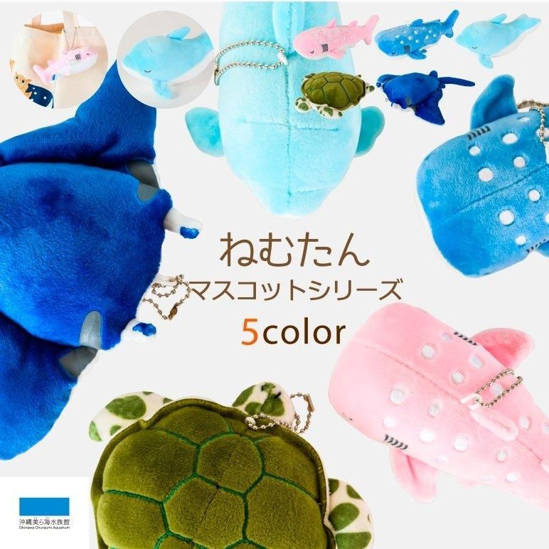 キーホルダー ねむたん もちもち マスコット | 沖縄美ら海水族館・首里