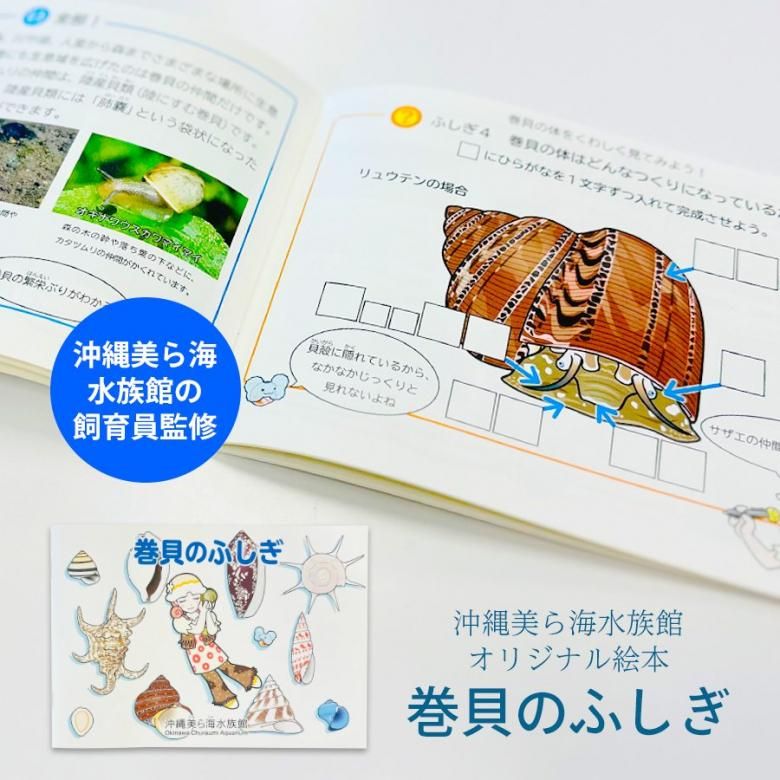 絵本 巻貝 ふしぎ カタツムリ 飼育員監修 オリジナル 夏休み 学習 教材