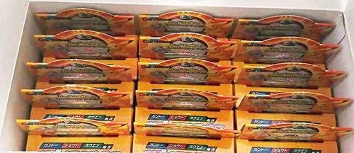 ポケモンずかんカードボックス2005 ぜんこくバージョン 15BOXセット 未