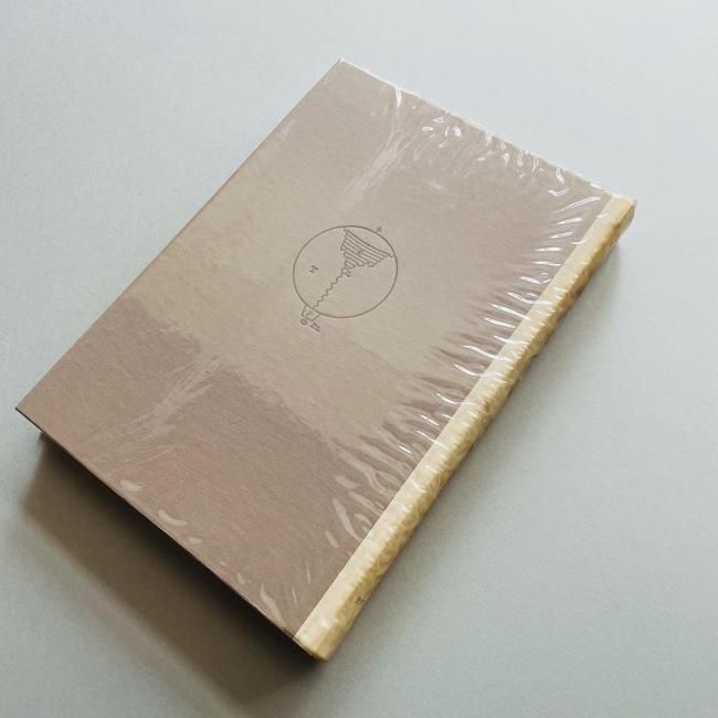 白井晟一 建築とその世界 Shirai Seiichi