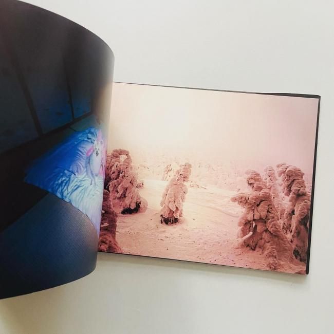 志賀理江子 カナリア門 赤々舎【包み紙に破れなし】 志賀理江子