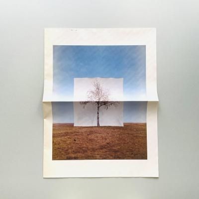 The Buddy System｜バリー・マッギー Barry McGee