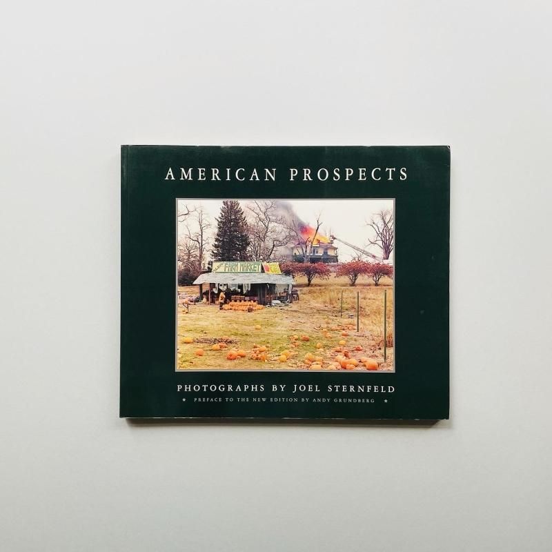 AMERICAN PROSPECTS｜Joel Sternfeld ジョエル・スタンフェルド