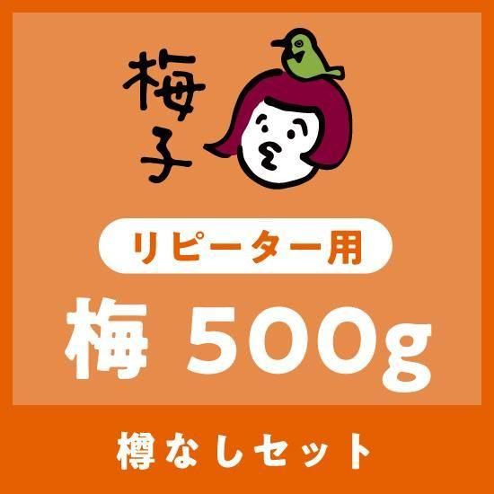 500g だれでもおいしく梅干しづくりキット梅子2025（リピーター用