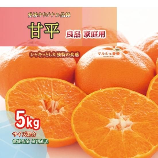 甘平みかん 5キロ サイズ混合 良品 家庭用 5kg かんぺい 愛媛 みかん