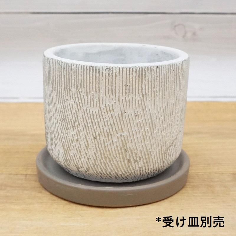 植木鉢 おしゃれ セメント ルシャS (2色) ＜ 10.6cm 3.5号 穴あり 白