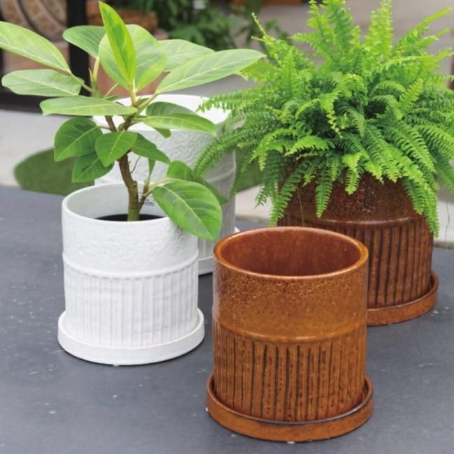 植木鉢 おしゃれ 陶器鉢 ライネルS 18.5cm 6号 受け皿あり 白 ホワイト