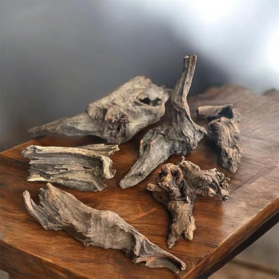 アクアテラリウム流木セット | 30cmキューブ用 - HIROSE WEB SHOP