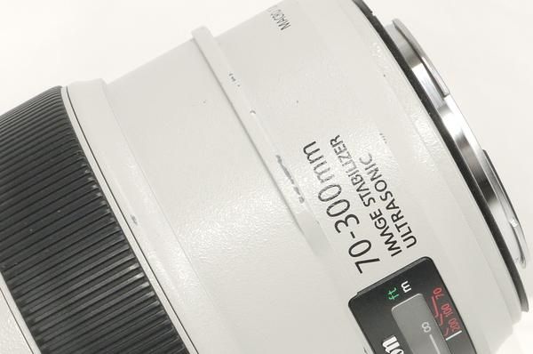 キャノン EF 70-300mm F4-5.6L IS USM フード、フィルター、ケース付