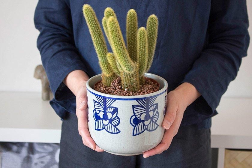 Lisa Larson×波佐見焼 flora - ディベルティーレ（Divertire