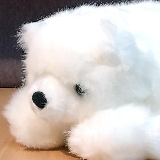 ぬいぐるみ ダイブ シロクマ S - 旭山動物園くらぶオンラインショップ