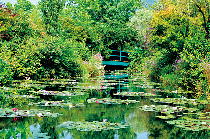 モネの絵画『睡蓮』のような美しい池5選！神秘的な風景に出会える