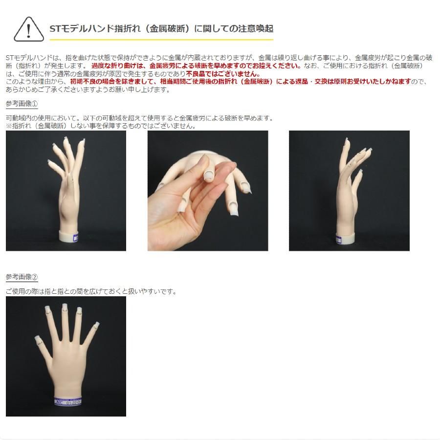 STモデルハンド /両手セット（JNEC 第1期認定モデルハンド