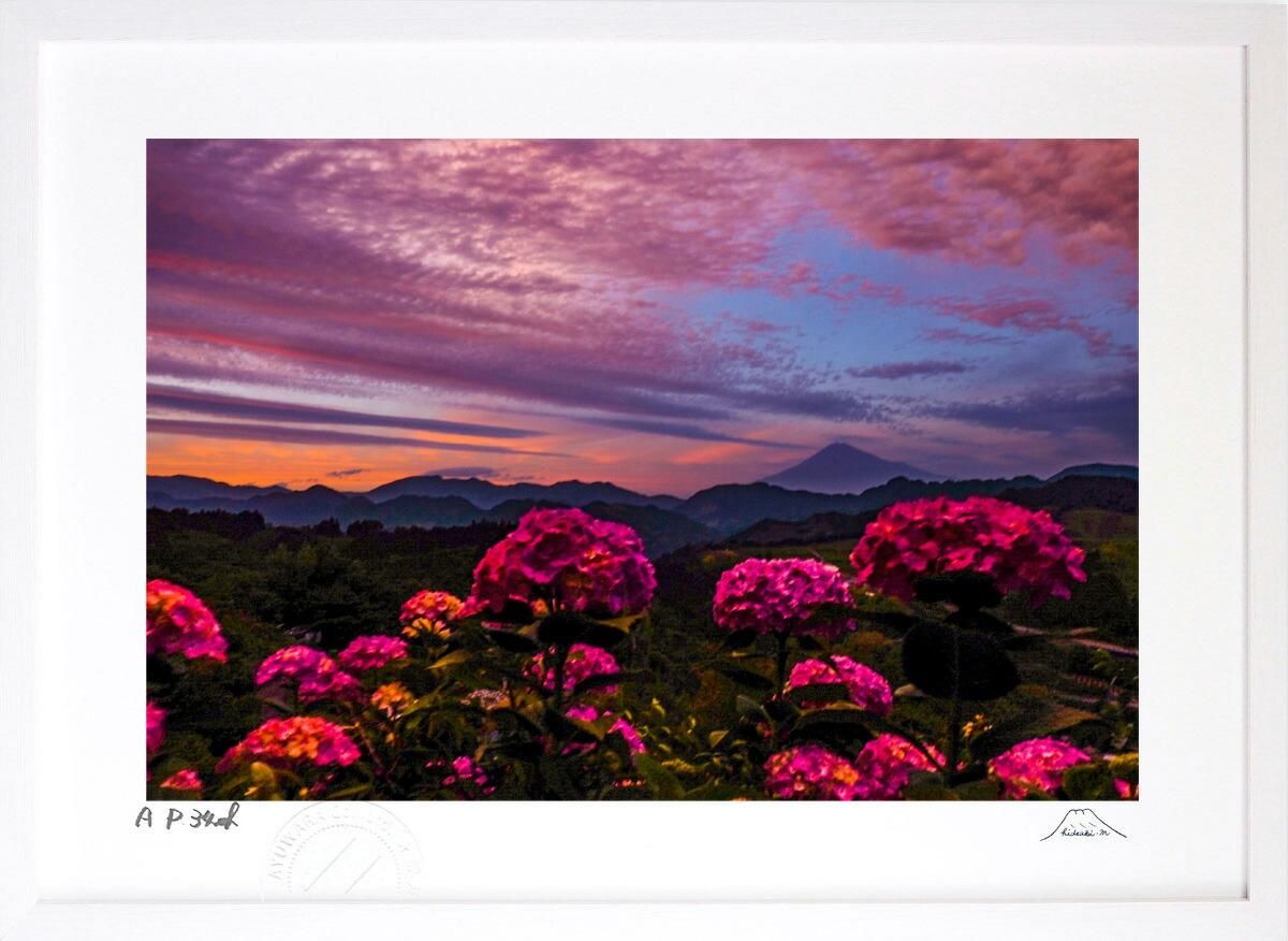 空飛ぶ画家糸川裕志の静物画、カボチャと唐辛子、油絵F 10号額入り 空