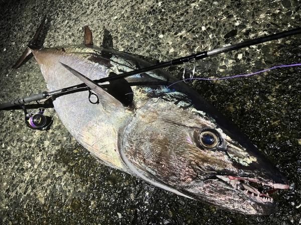 RippleFisher / ランナーエクシード 【RunnerExceed FINAL STAND UP