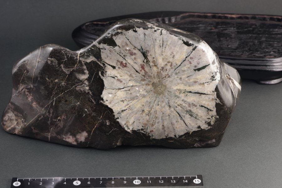 根尾谷産 菊花石 置石 2.0kg｜国産 原石 通販 キラリ石