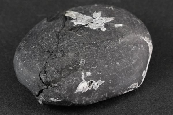 菊花石 原石 88g｜天然石 原石 通販のキラリ石