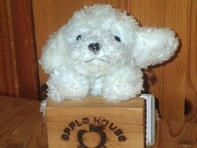 モンスイユ ぬいぐるみ 犬 いぬ イヌ 犬のぬいぐるみ イヌのぬいぐるみ