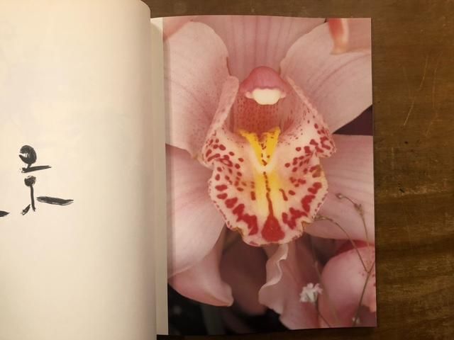 花人生 / 荒木経惟 Nobuyoshi Araki - books used and new, flower