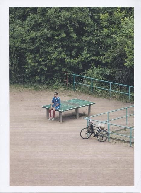 TTP by Hayahisa Tomiyasu 富安隼久 - books used and new, flower