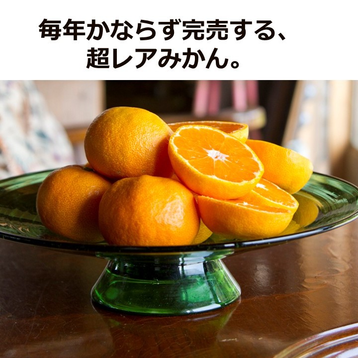 坂本龍馬が涙した 龍馬感激みかん 3kg箱(24〜36個) | 当店大人気みかん