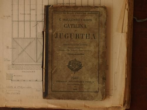 1882年のアンティーク本 - アンティーク食器と雑貨のお店 lincs
