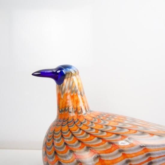 OIVA TOIKKA Bird Rainbow tern