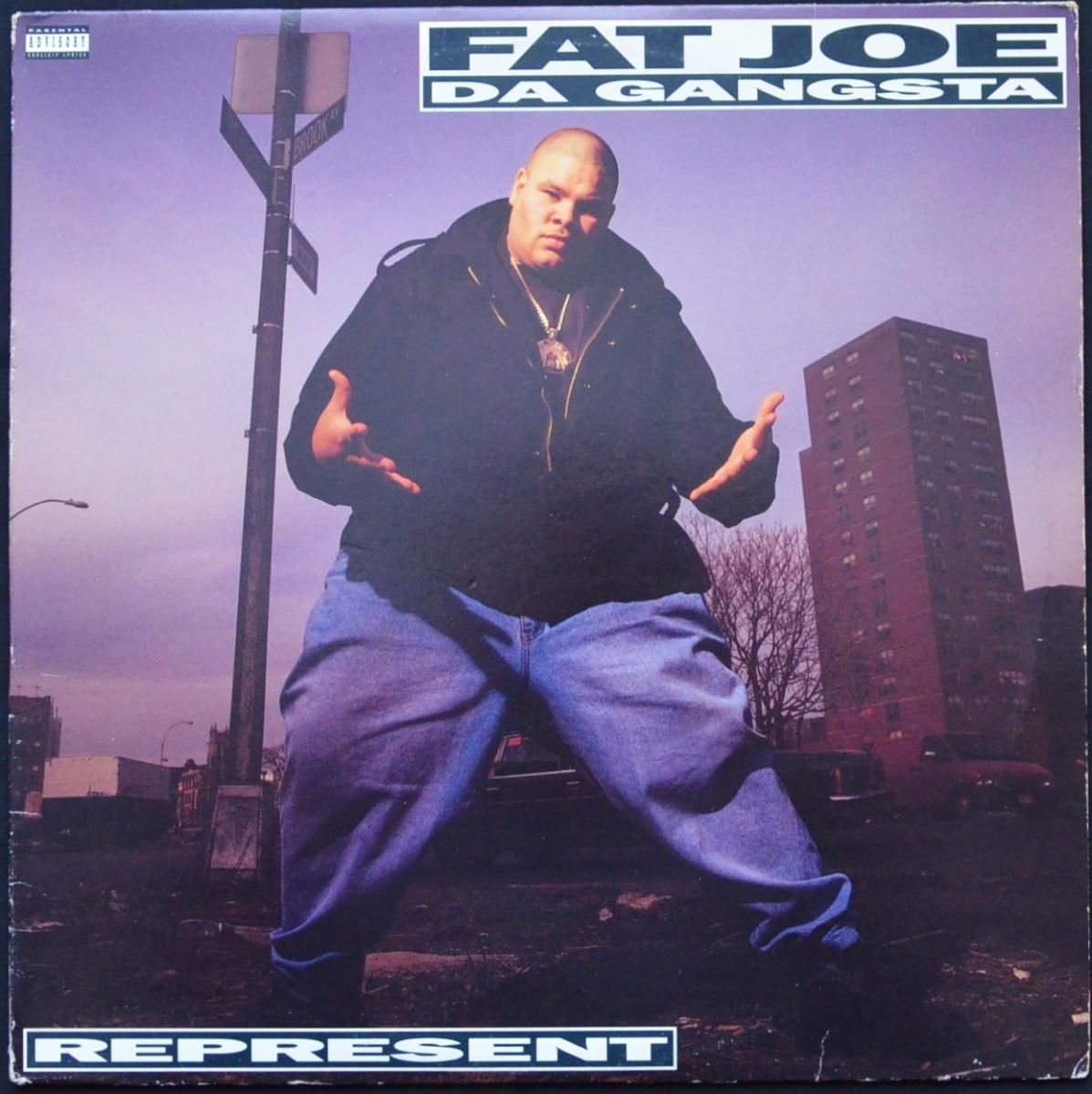 FAT JOE DA GANGSTA / REPRESENT (1LP) - HIP TANK RECORDS