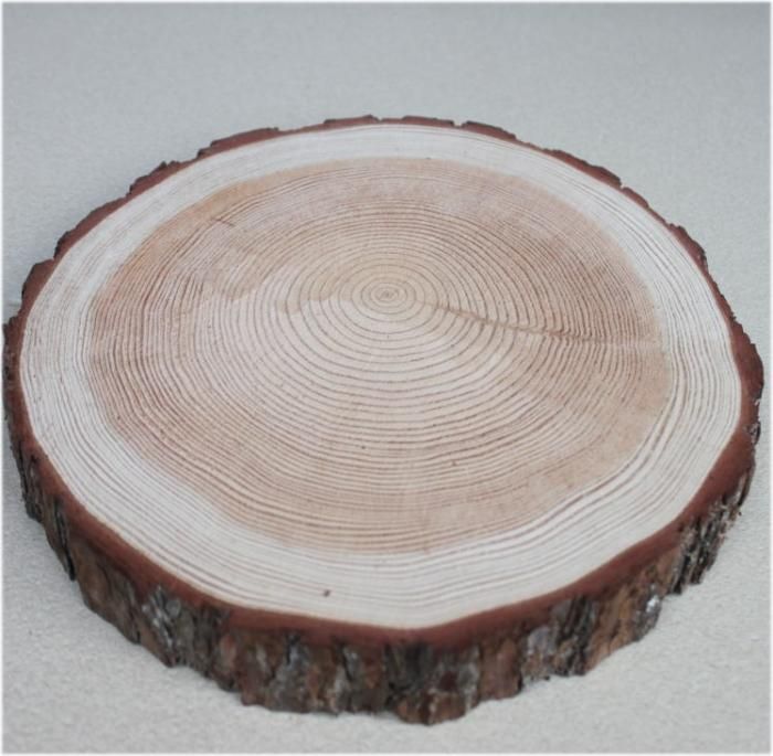 木の年輪板 カラマツ 樹皮つき mサイズ（210～240mm）