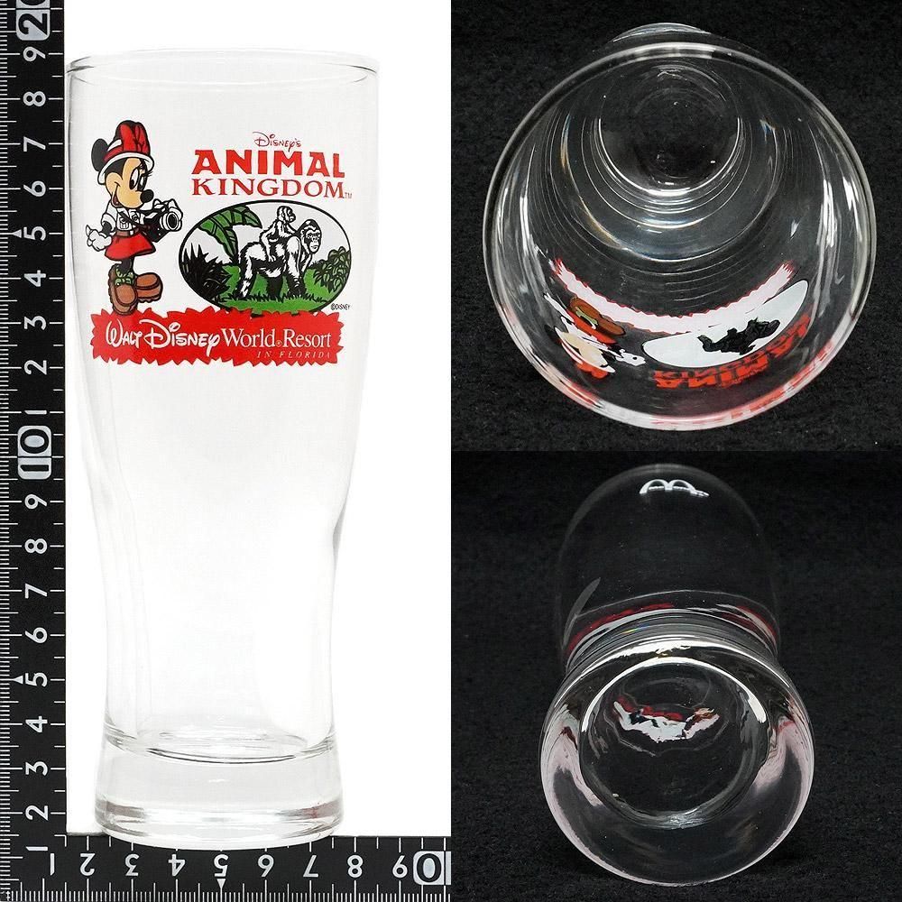 Animal Kingdom/アニマルキングダム(WDW/ウォルトディズニーワールド