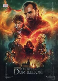 ファンタスティック・ビーストとダンブルドアの秘密 - 映画