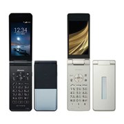 富士通 arrows ケータイ F-03L [シルバー] 価格比較 - 価格.com