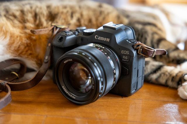 CANON EOS R6 Mark II ボディ 価格比較 - 価格.com