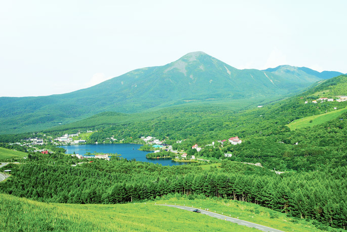 パナソニック F-CP339 価格比較 - 価格.com