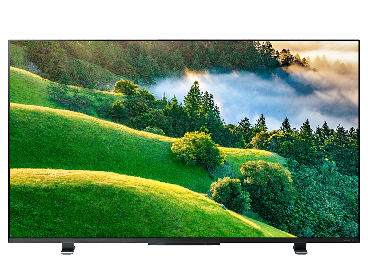 TVS REGZA REGZA 43M550L [43インチ] 価格比較 - 価格.com