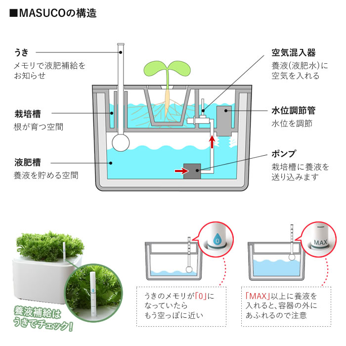 水耕栽培キット ホームハイポニカ MASUCO マスコ - 水耕栽培専門店