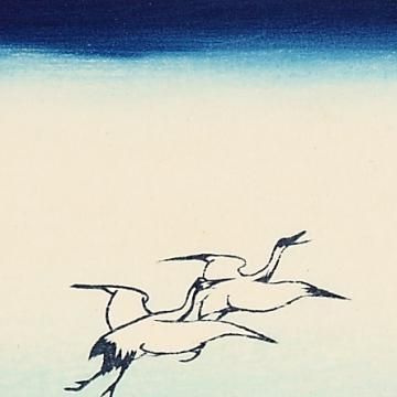 60513235_o4.jpg?cmsp_timestamp