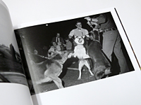 Joel Meyerowitz: Retrospective