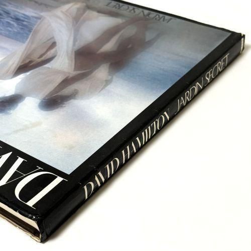 デイヴィッド・ハミルトン - 古本買取販売 ハモニカ古書店 建築 美術