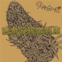 チャッカーズ / 日本収穫期到来 [LP] - record KNOX online shop