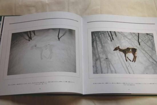 死 宮崎学写真集 Death in Nature Miyazaki Manabu - 古本買取 2手舎