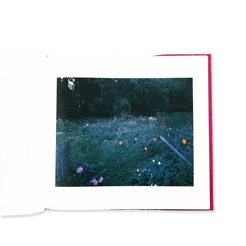 Kyoji Takahashi: THE MAD BROOM OF LIFE高橋恭司 - 古本買取 2手舎