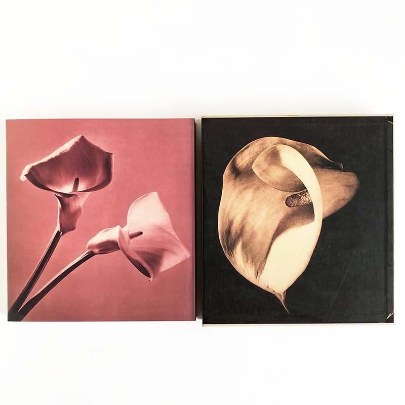 PISTILS by Robert Mapplethorpeロバート・メイプルソープ - 古本買取