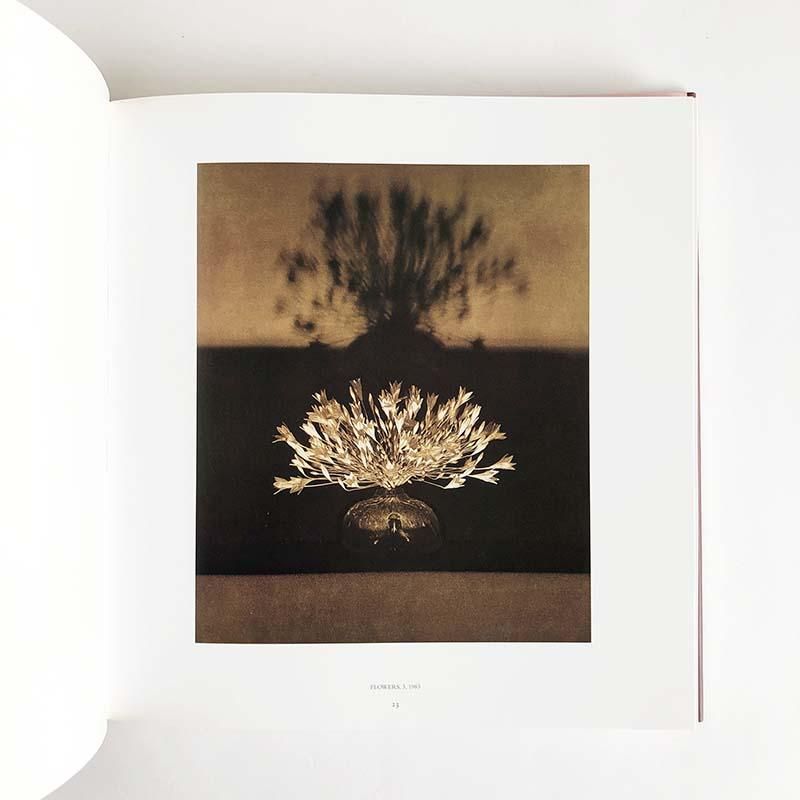 PISTILS by Robert Mapplethorpeロバート・メイプルソープ - 古本買取