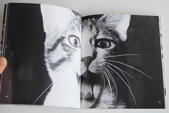 サスケ！！いとしき猫よ 深瀬昌久 写真集 Sasuke, Itoshiki Neko yo