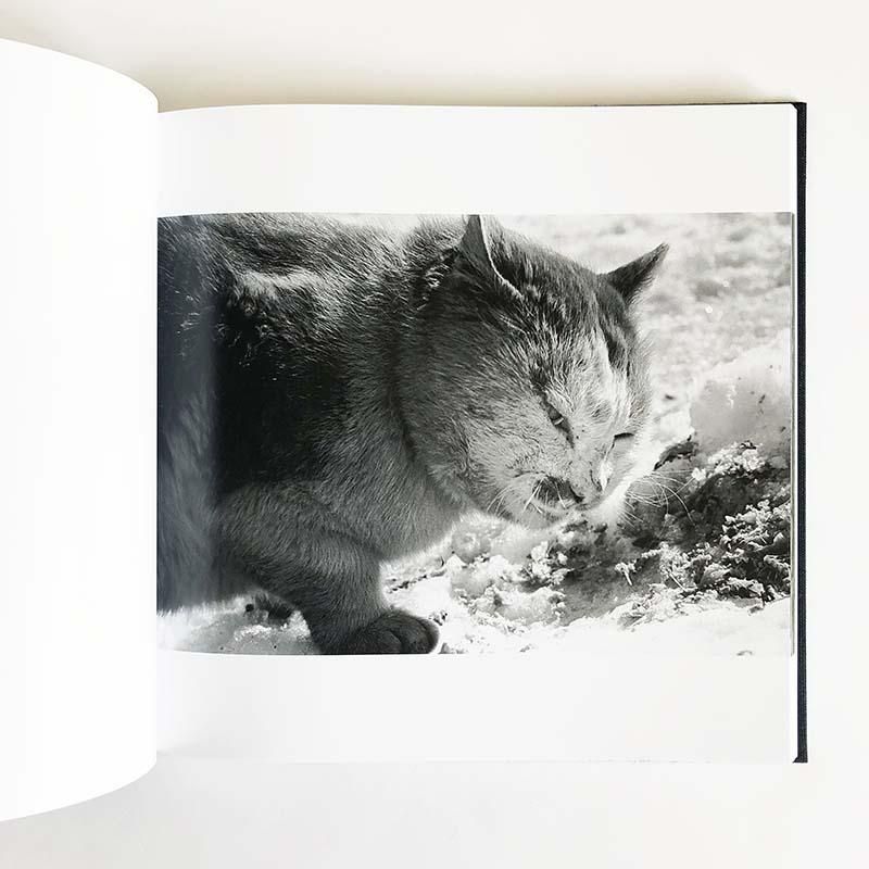 RAVENS MACK Edition by MASAHISA FUKASE *unopened鴉 マック版 深瀬