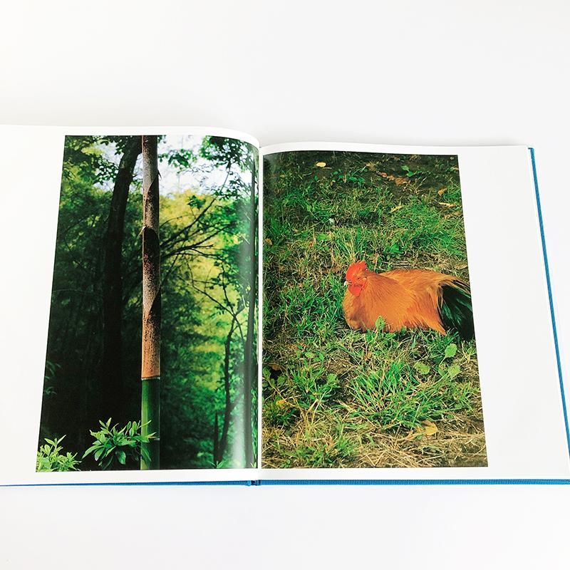 Hysteric Six NAKAHIRA TAKUMA - 古本買取 2手舎/二手舎 nitesha 写真