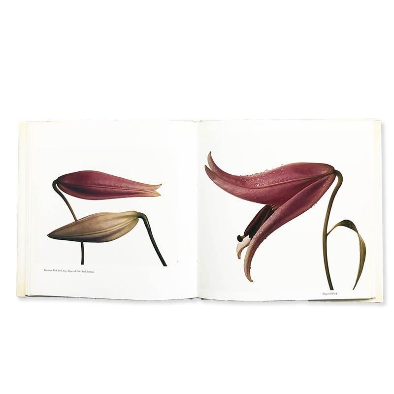 Irving Penn: FLOWERS First American Editionアーヴィング・ペン