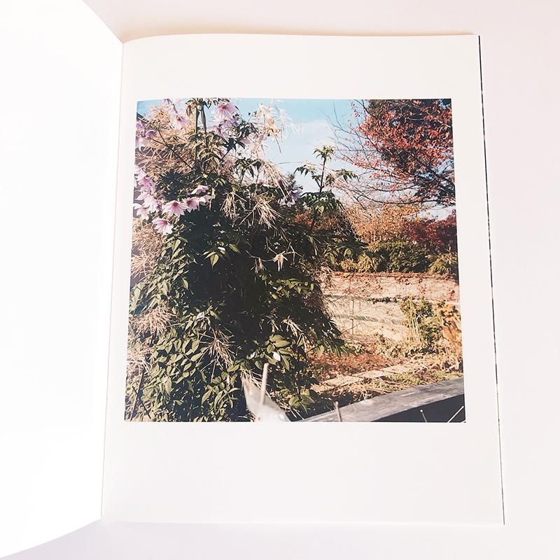 THESE ARE DAYS by Mikiko Hara原美樹子 - 古本買取 2手舎/二手舎