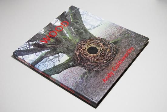 WOOD Andy Goldsworthy アンディ・ゴールズワージー 作品集 - 古本買取
